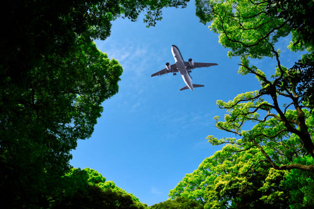 Bước ngoặt mới: VCS được ICAO công nhận, mở ra kỷ nguyên mới cho hàng không xanh